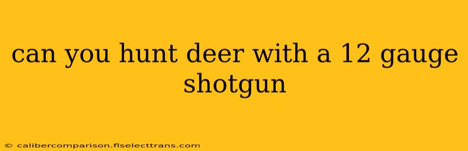 can you hunt deer with a 12 gauge shotgun