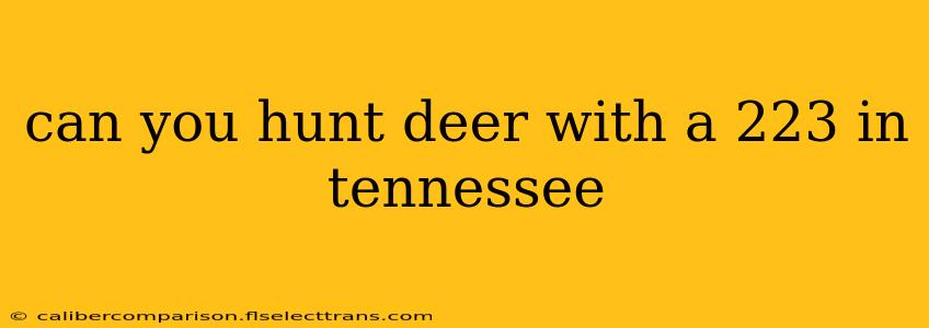 can you hunt deer with a 223 in tennessee