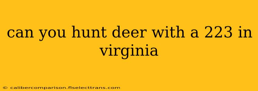 can you hunt deer with a 223 in virginia