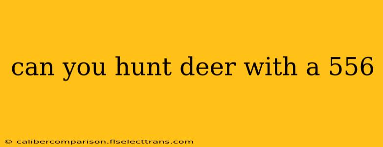 can you hunt deer with a 556