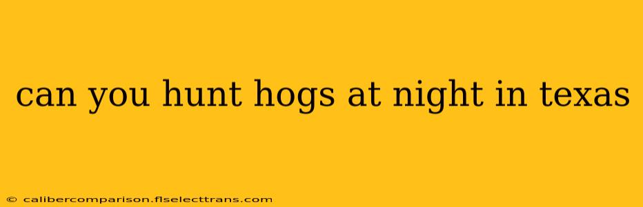 can you hunt hogs at night in texas