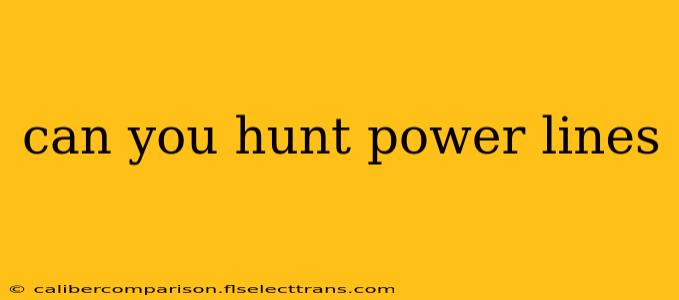 can you hunt power lines