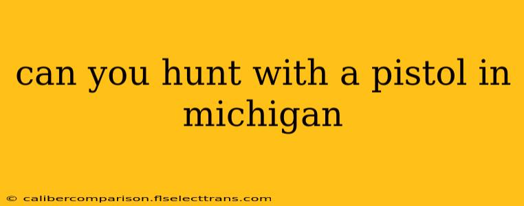 can you hunt with a pistol in michigan