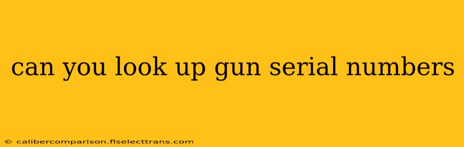 can you look up gun serial numbers