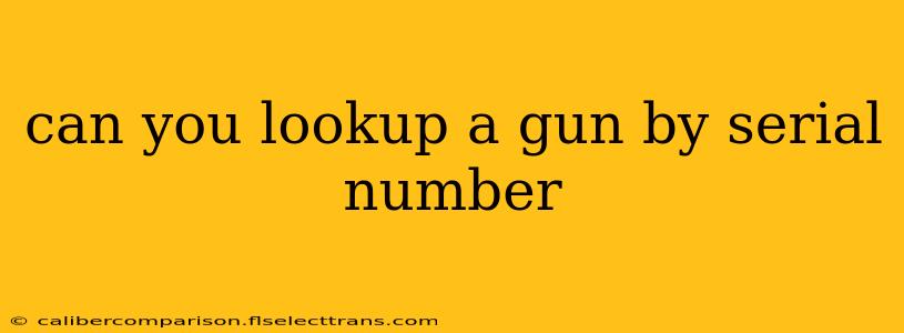 can you lookup a gun by serial number