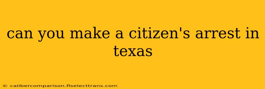 can you make a citizen's arrest in texas