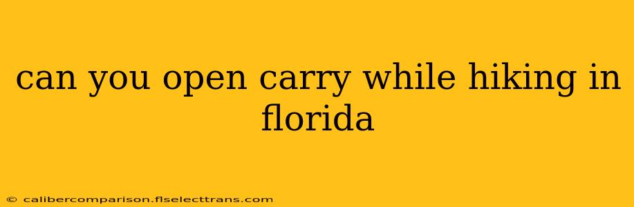 can you open carry while hiking in florida