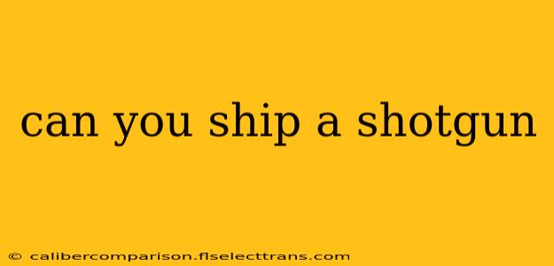 can you ship a shotgun