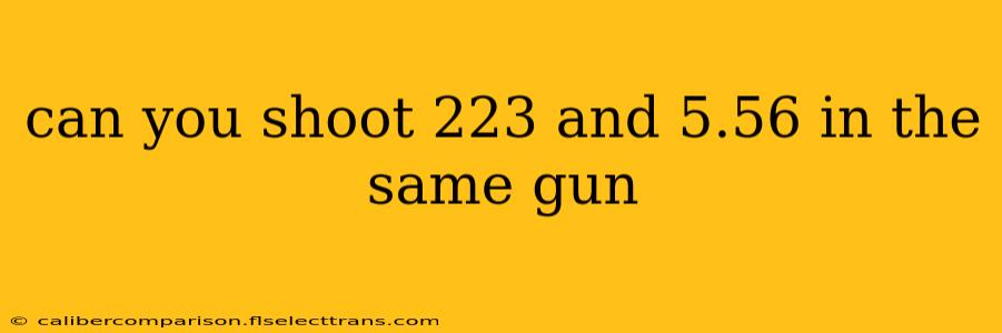 can you shoot 223 and 5.56 in the same gun