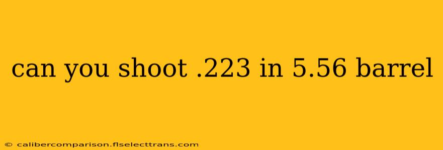 can you shoot .223 in 5.56 barrel