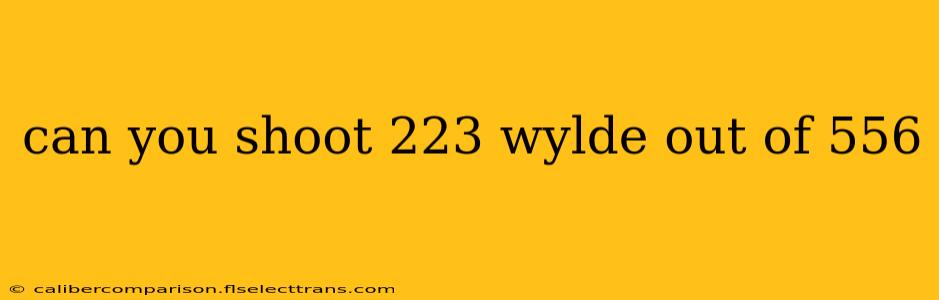 can you shoot 223 wylde out of 556