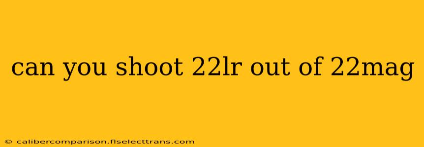 can you shoot 22lr out of 22mag