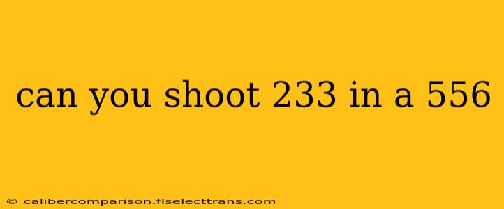 can you shoot 233 in a 556