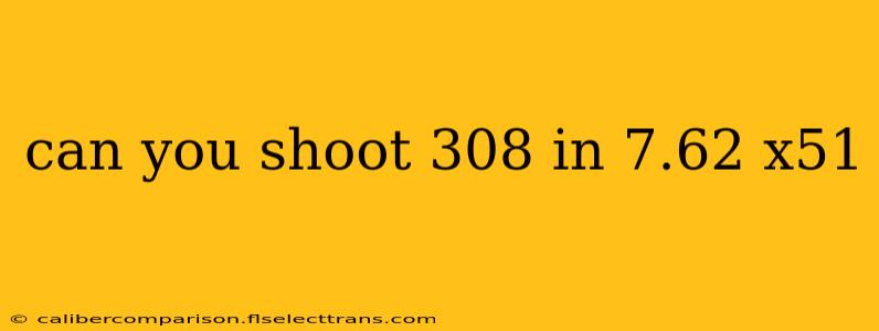 can you shoot 308 in 7.62 x51