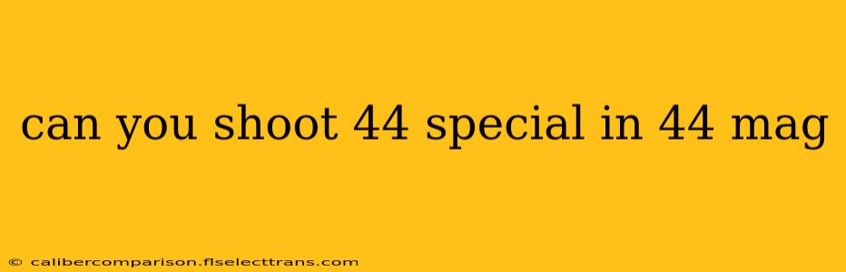 can you shoot 44 special in 44 mag