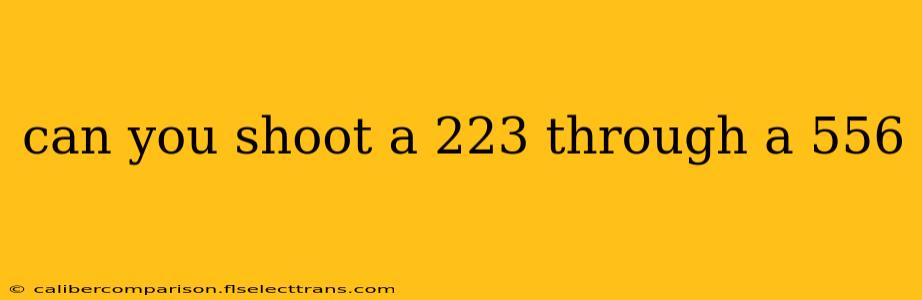 can you shoot a 223 through a 556