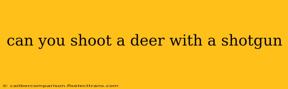 can you shoot a deer with a shotgun