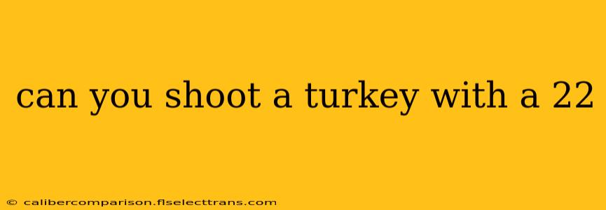 can you shoot a turkey with a 22