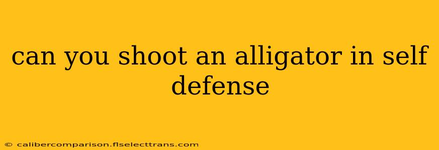 can you shoot an alligator in self defense