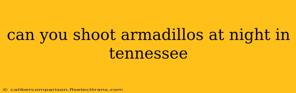 can you shoot armadillos at night in tennessee