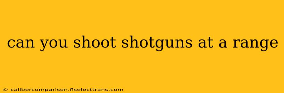 can you shoot shotguns at a range