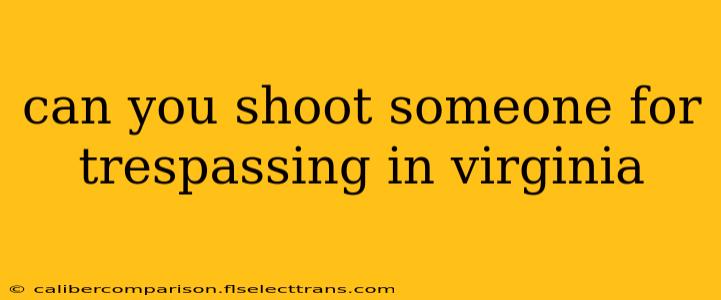 can you shoot someone for trespassing in virginia