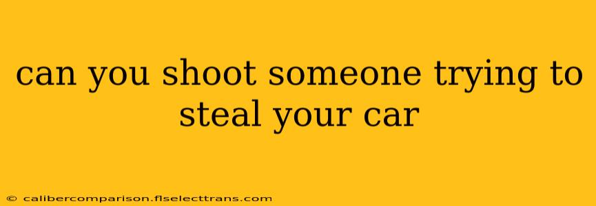 can you shoot someone trying to steal your car