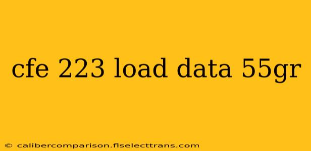 cfe 223 load data 55gr