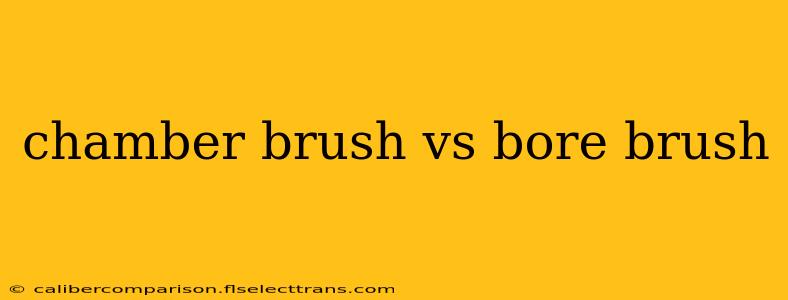 chamber brush vs bore brush