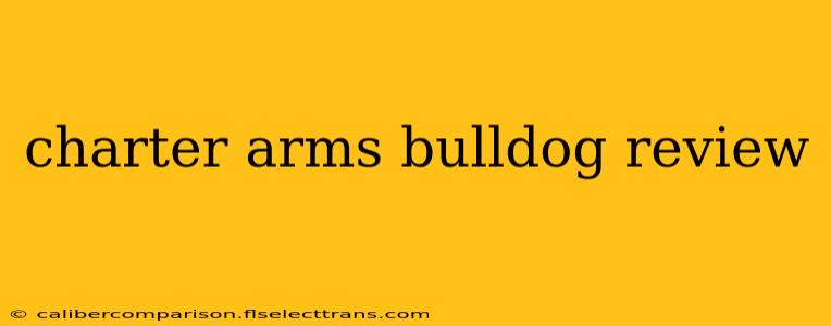 charter arms bulldog review