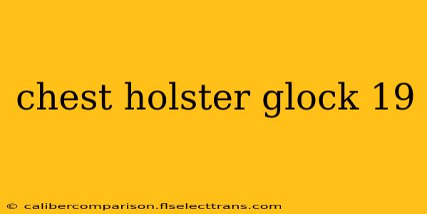 chest holster glock 19