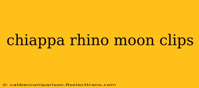 chiappa rhino moon clips