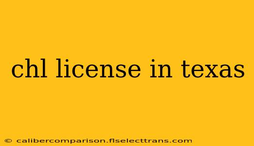 chl license in texas