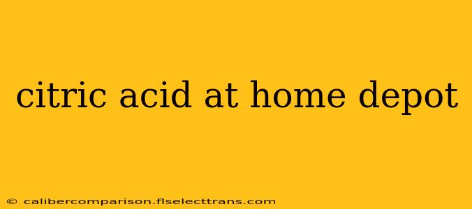 citric acid at home depot