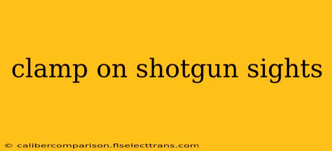 clamp on shotgun sights