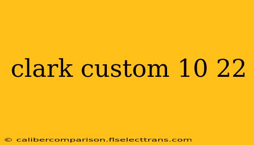 clark custom 10 22