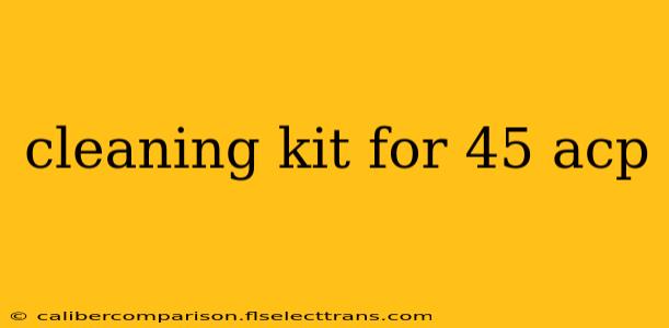 cleaning kit for 45 acp