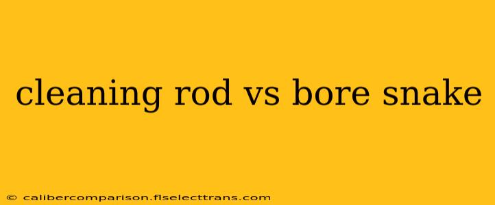 cleaning rod vs bore snake