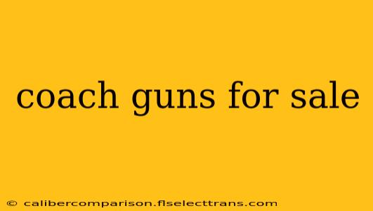 coach guns for sale