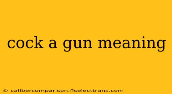 cock a gun meaning