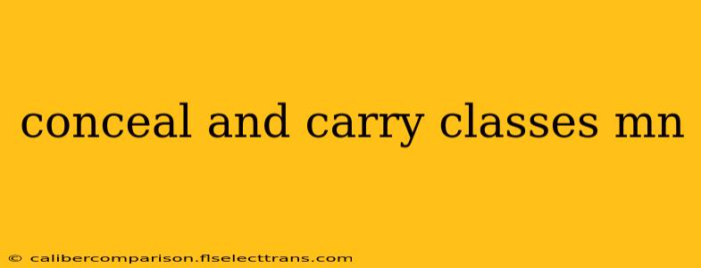 conceal and carry classes mn