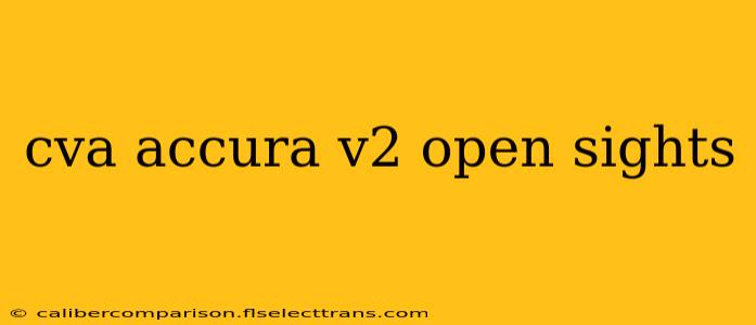 cva accura v2 open sights