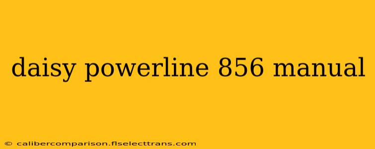 daisy powerline 856 manual