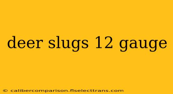 deer slugs 12 gauge