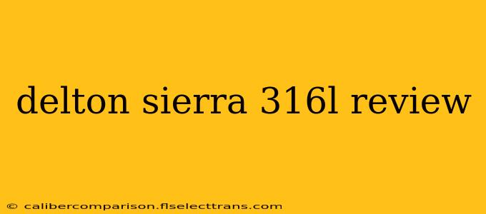 delton sierra 316l review