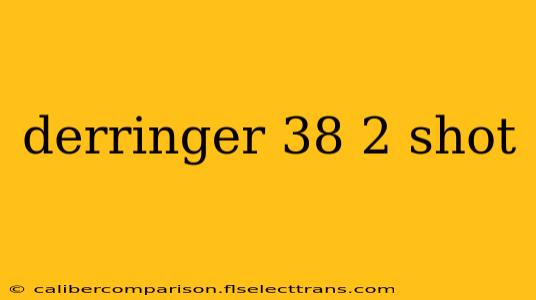 derringer 38 2 shot