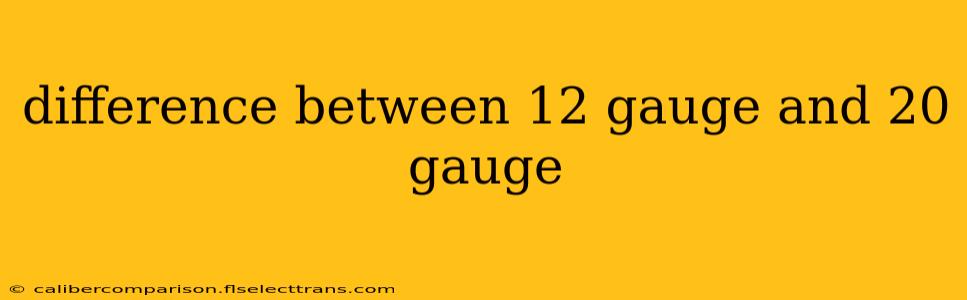 difference between 12 gauge and 20 gauge