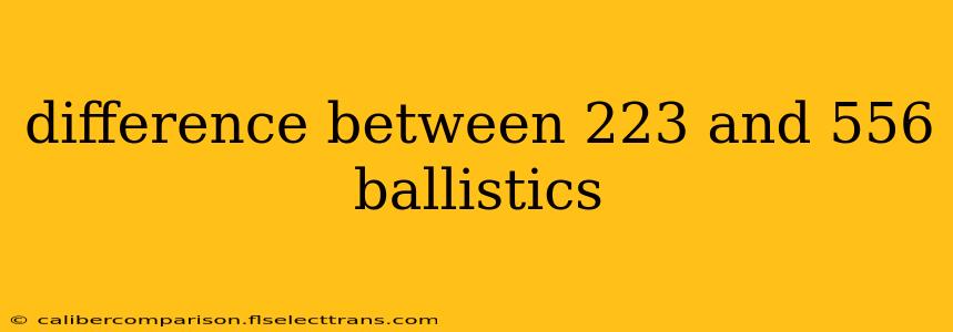 difference between 223 and 556 ballistics