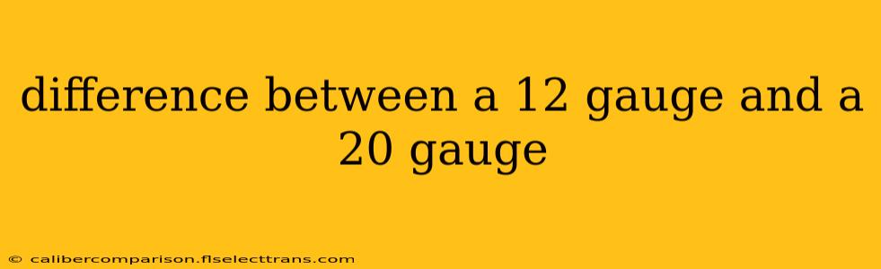 difference between a 12 gauge and a 20 gauge