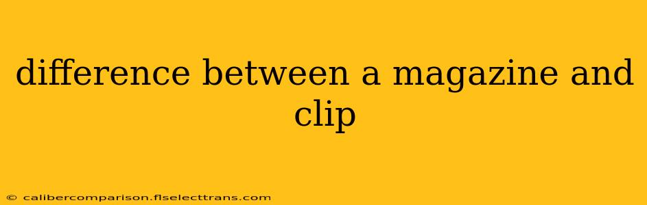 difference between a magazine and clip